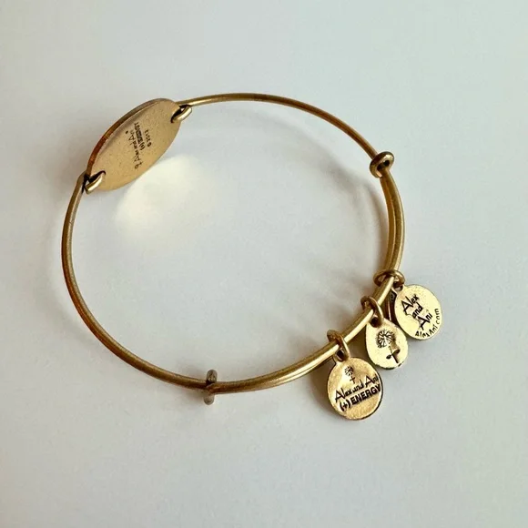 Alex and Ani St. Florian Gold Bracelet - Picture 2 of 2